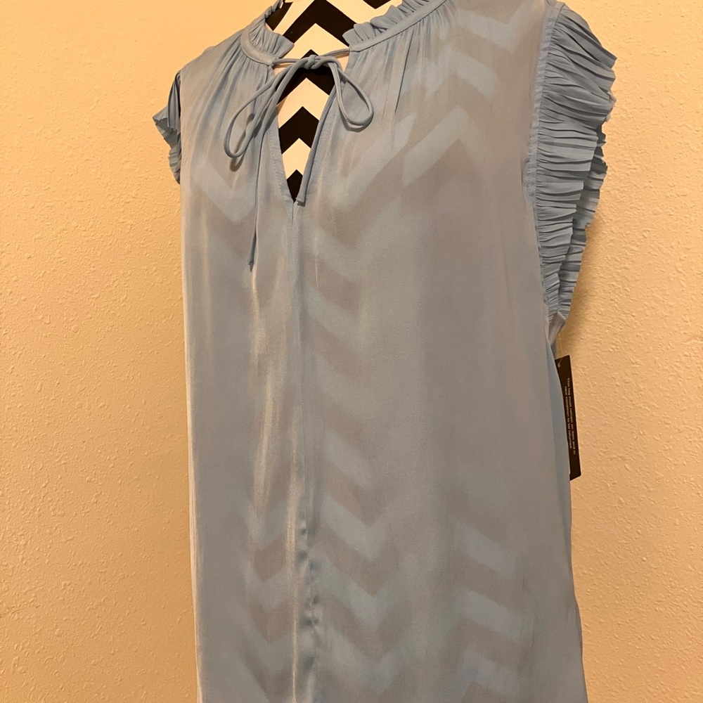 Current Air Light Blue Blouse with Ruffle Sleeves